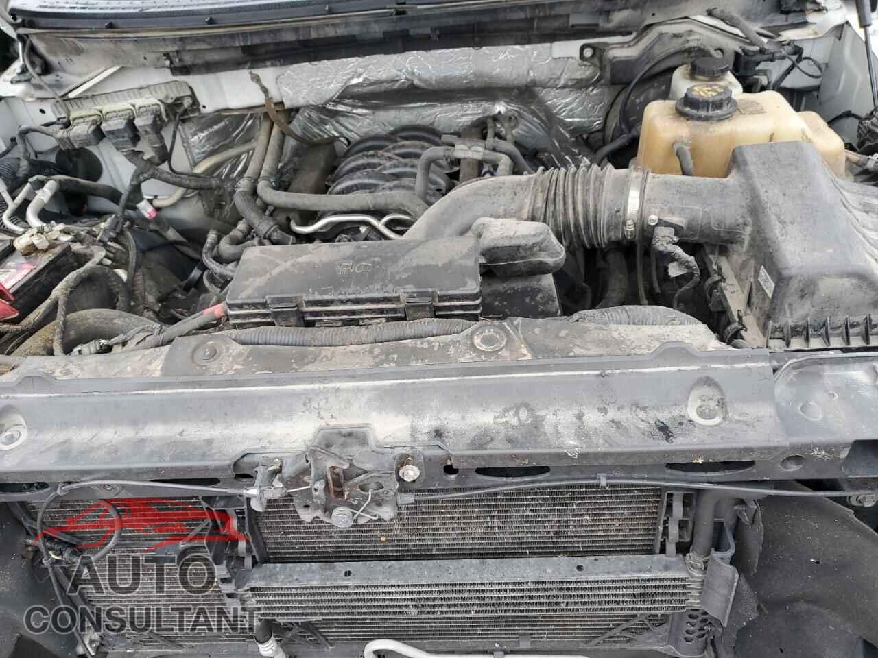 FORD F-150 2013 - 1FTFW1EF0DKD31859