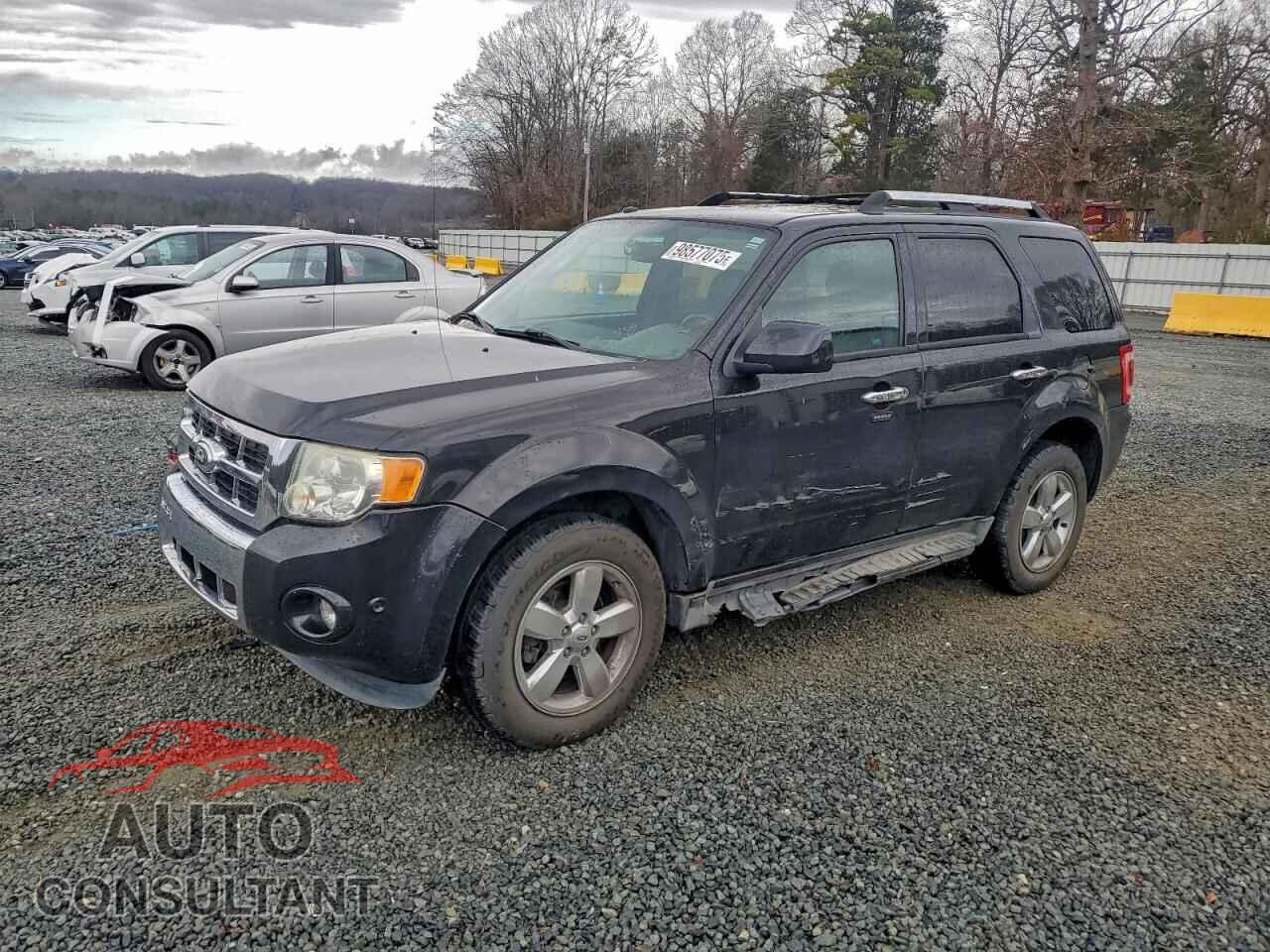 FORD ESCAPE 2011 - 1FMCU9EG8BKA73583