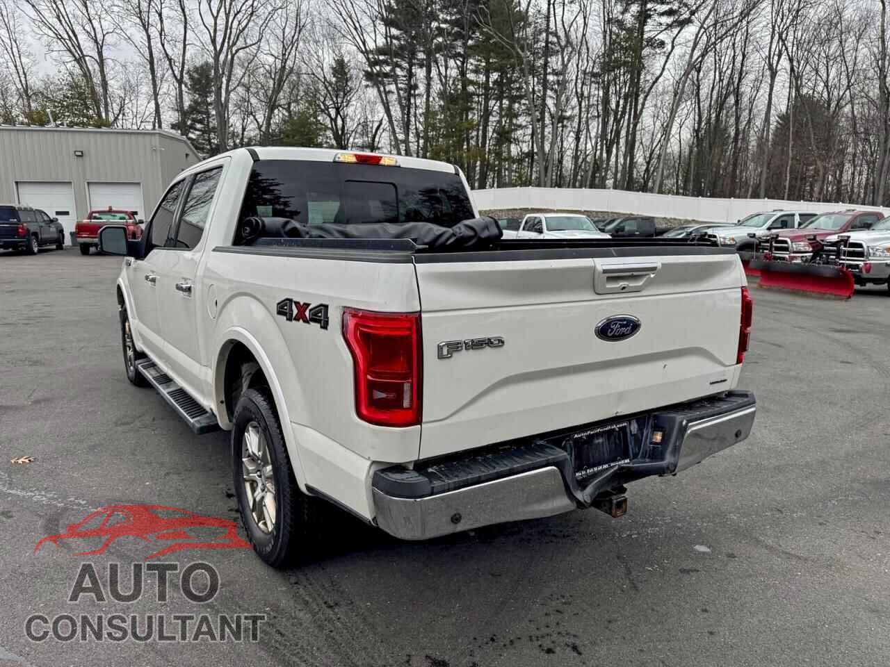 FORD F-150 2015 - 1FTEW1EF3FFB08562