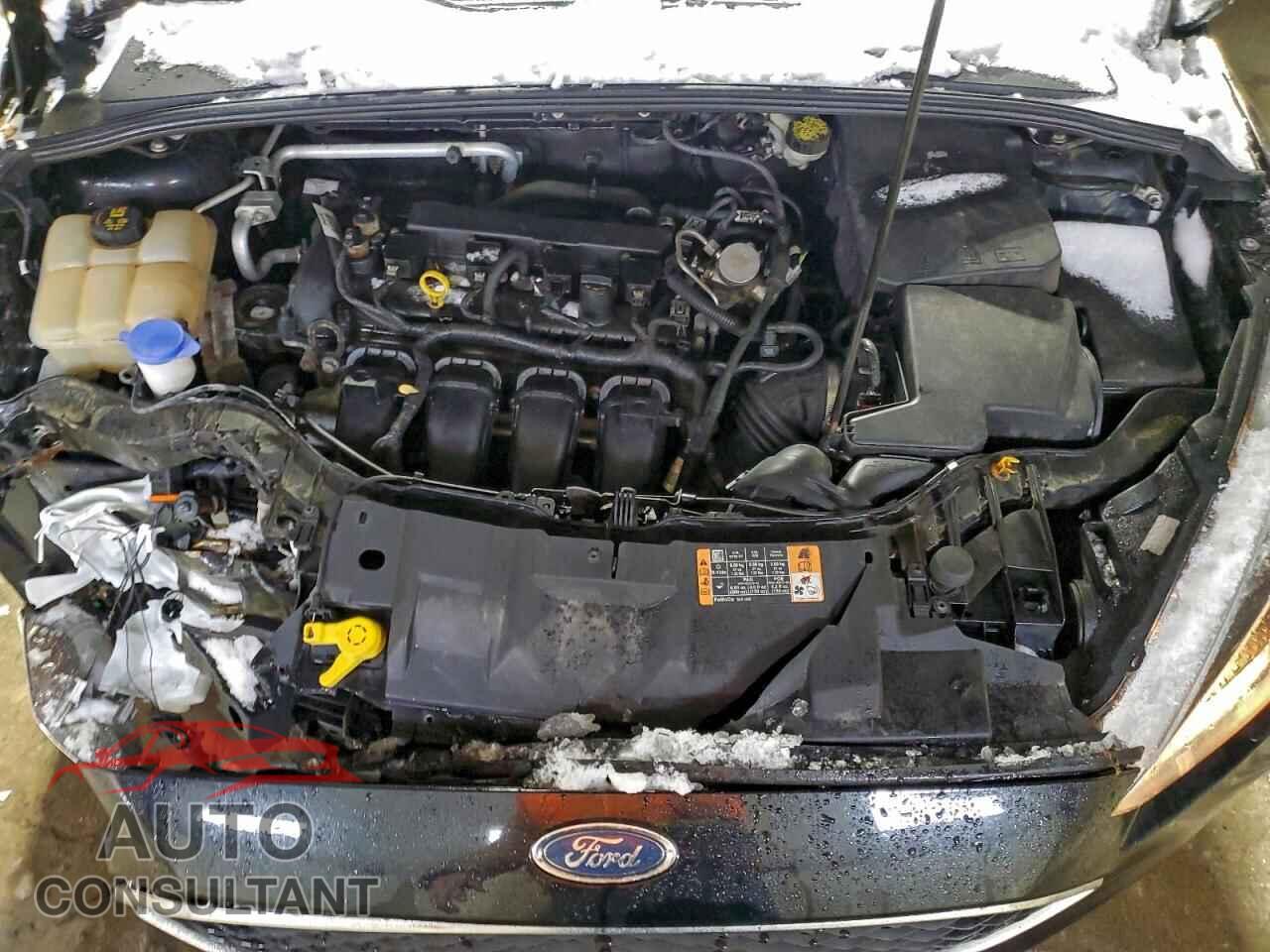 FORD FOCUS 2016 - 1FADP3F20GL382567