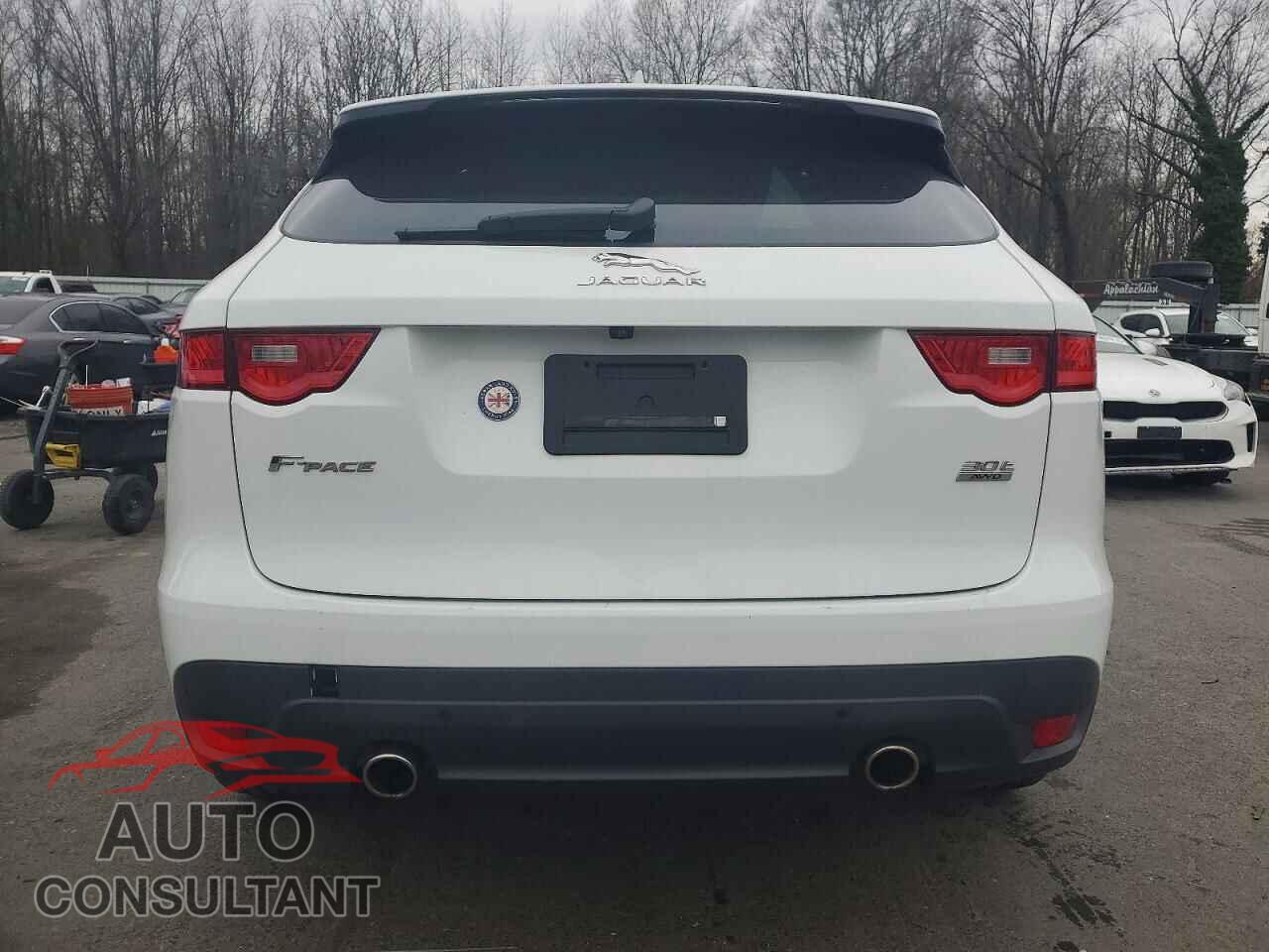JAGUAR F-PACE 2019 - SADCJ2GX8KA363530