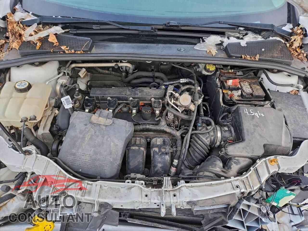 FORD FOCUS 2016 - 1FADP3K24GL340537