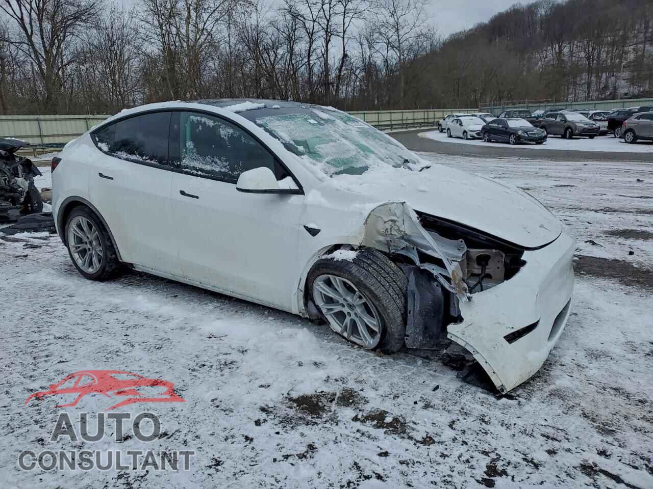 TESLA MODEL Y 2023 - 7SAYGAEE2PF859792