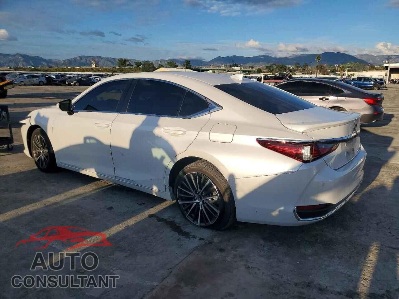 LEXUS ES300 2024 - 58ADA1C19RU038541