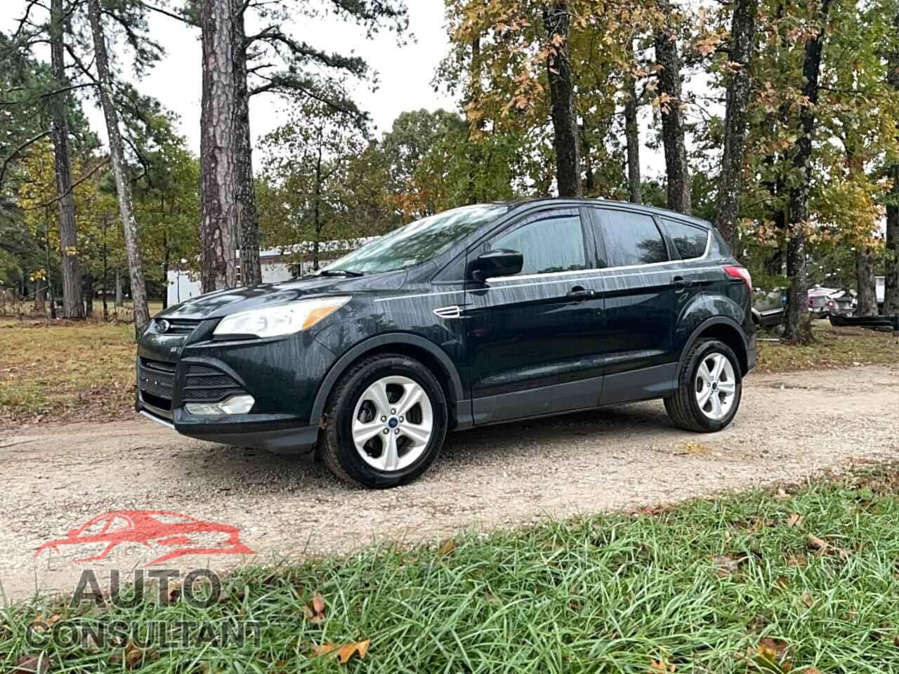 FORD ESCAPE 2014 - 1FMCU0GX4EUE37404