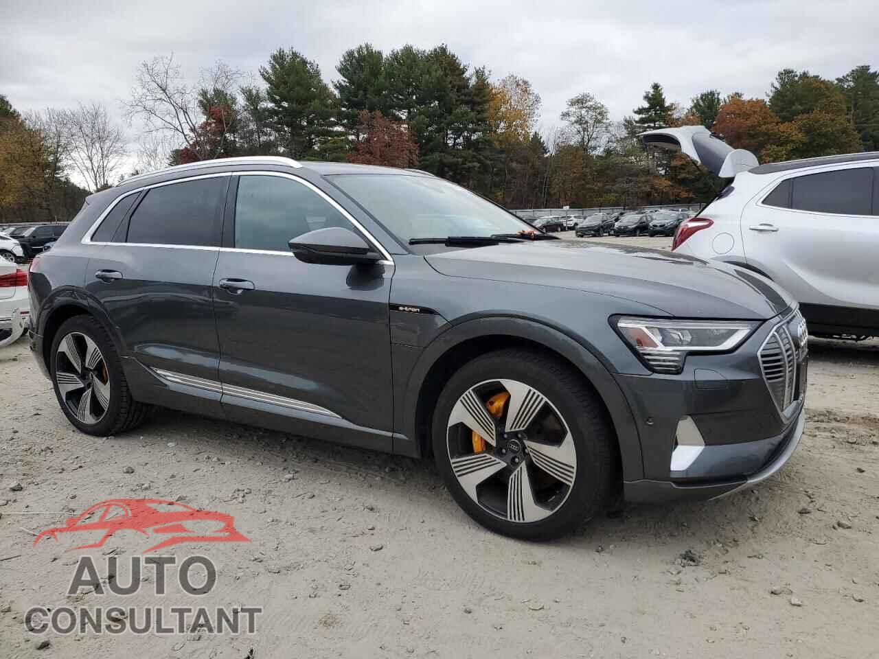AUDI E-TRON 2019 - WA1VAAGE8KB005443
