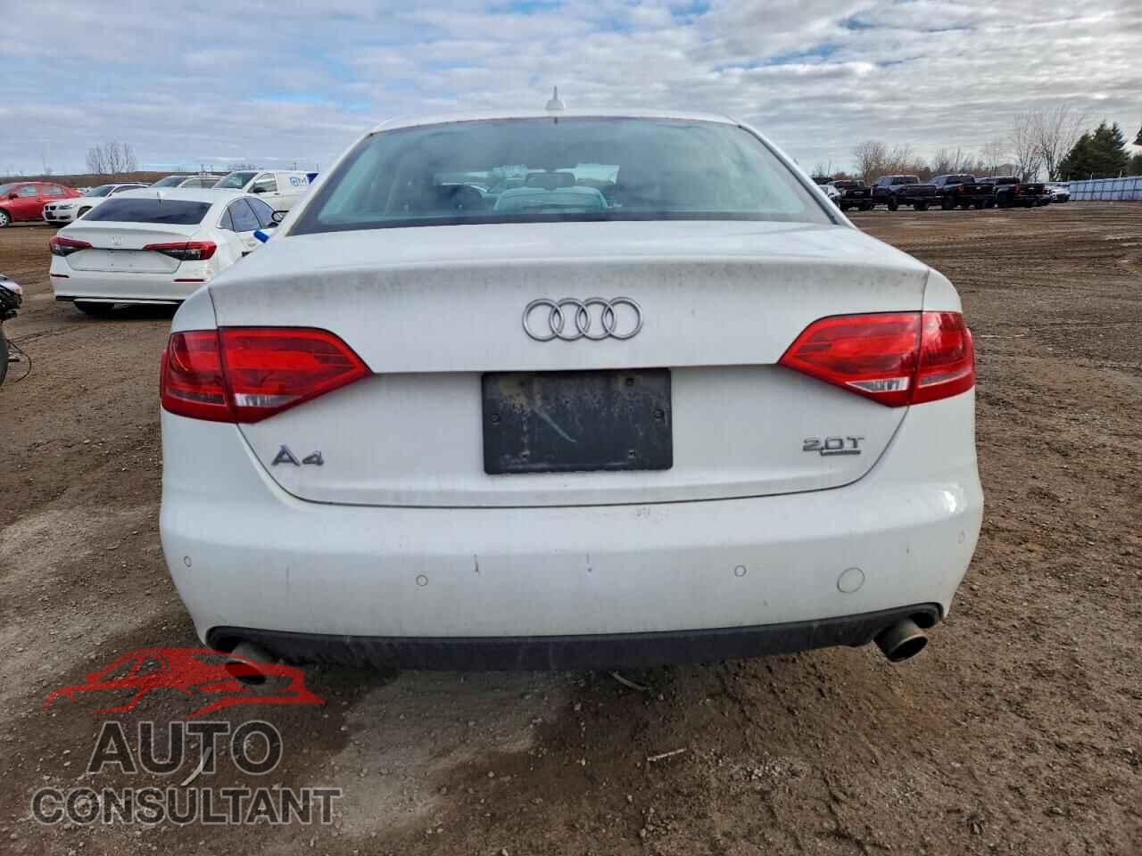 AUDI A4 2009 - WAULK68KX9A110218