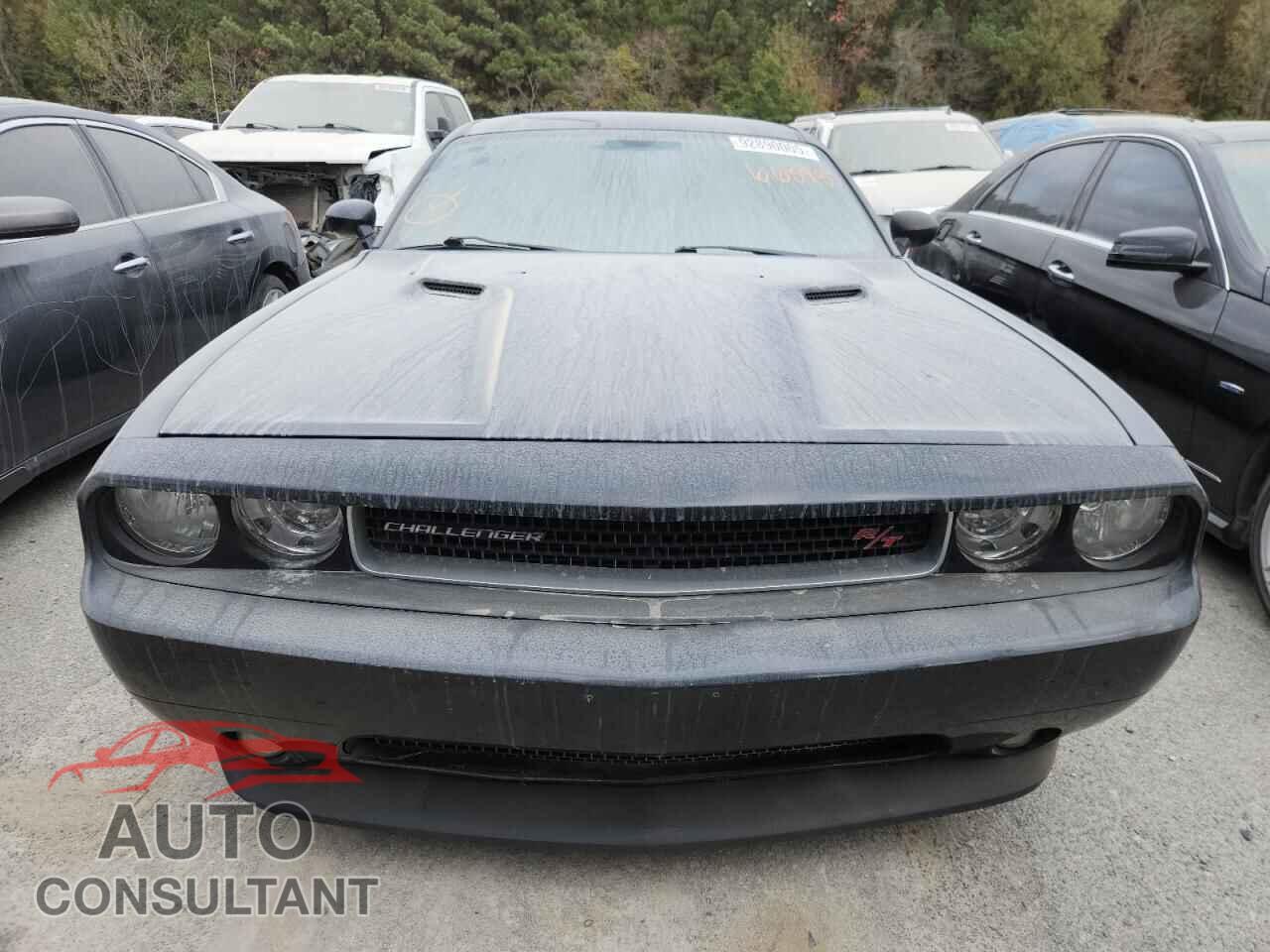 DODGE CHALLENGER 2013 - 2C3CDYBT3DH665987