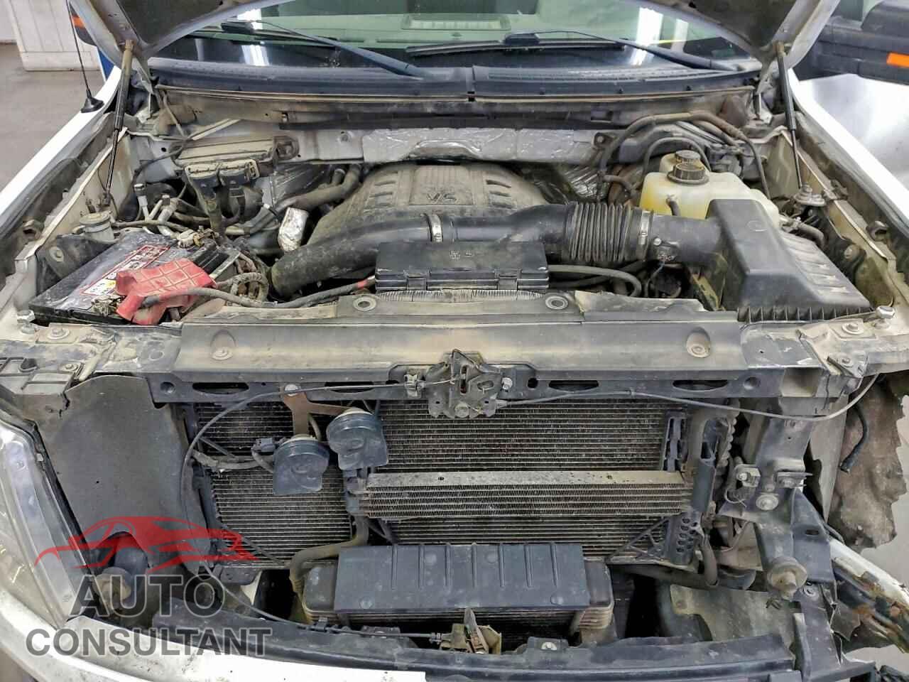 FORD F-150 2011 - 1FTFW1ET6BKE10116