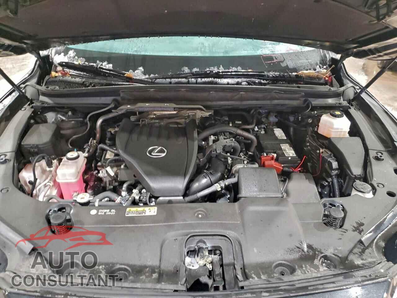 LEXUS RX350 2023 - 2T2BAMCA2PC005262