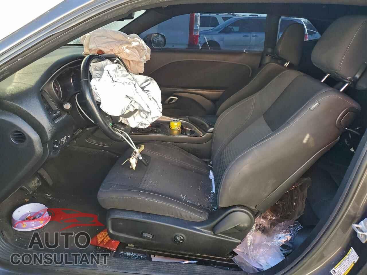 DODGE CHALLENGER 2019 - 2C3CDZAG3KH531570