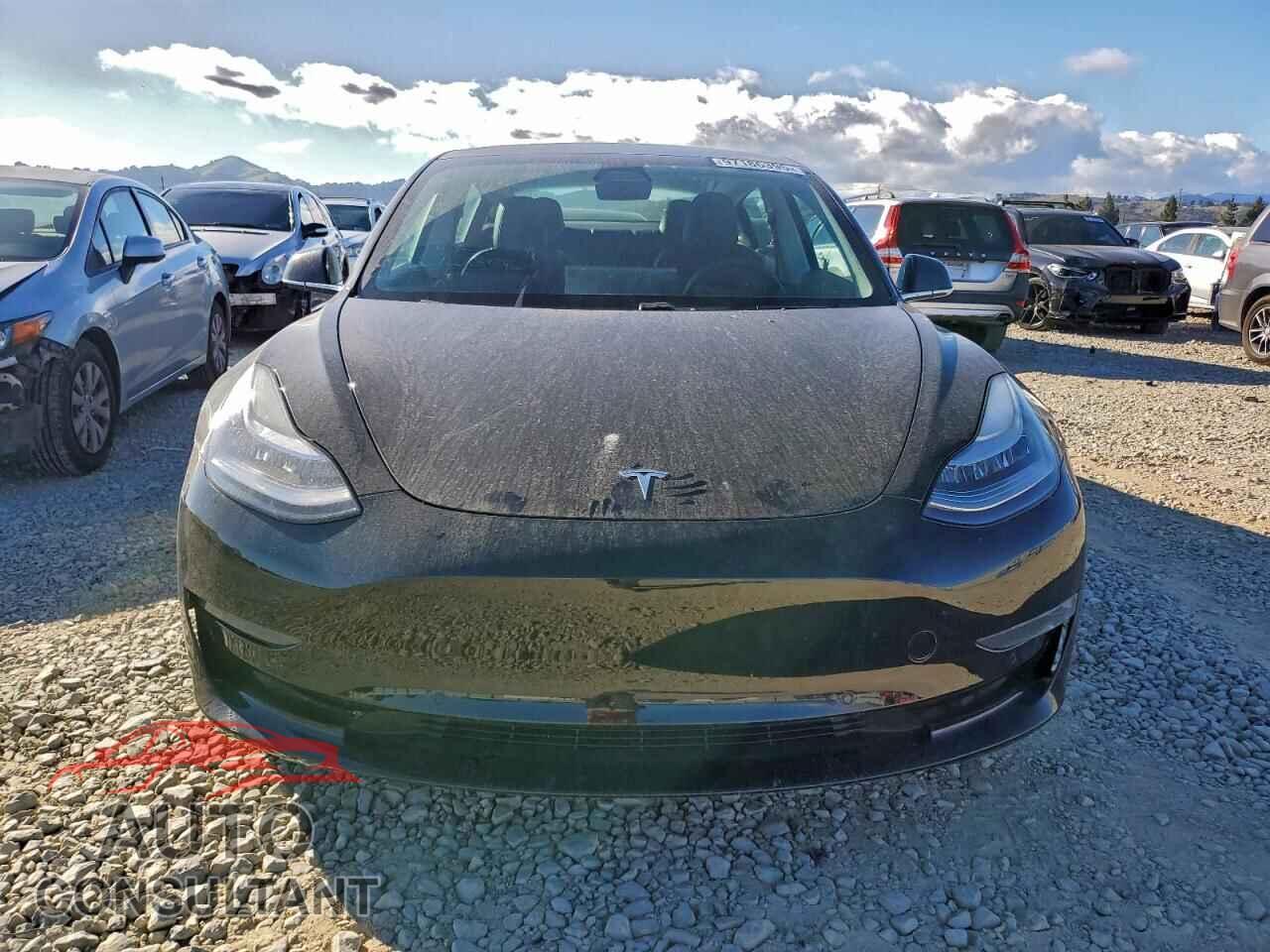 TESLA MODEL 3 2020 - 5YJ3E1EB8LF600480