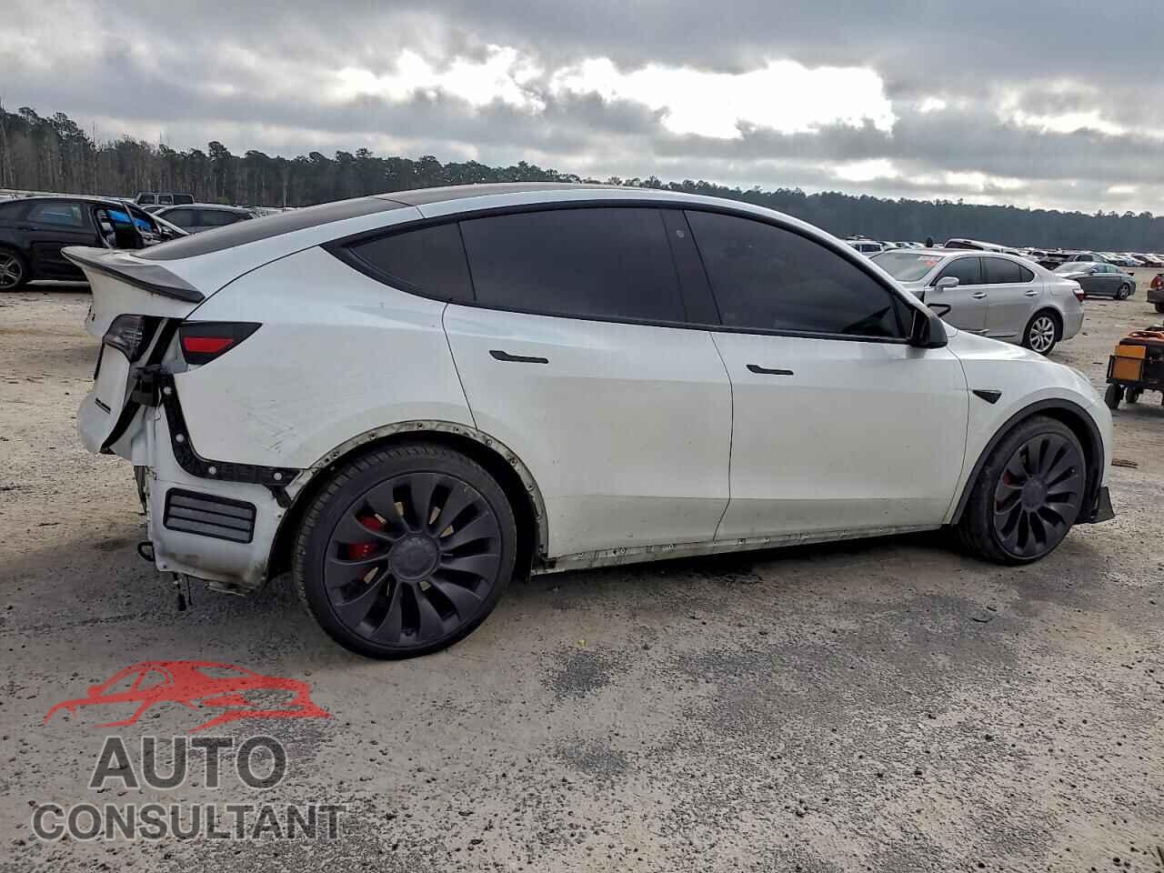 TESLA MODEL Y 2020 - 5YJYGDEF5LF025565