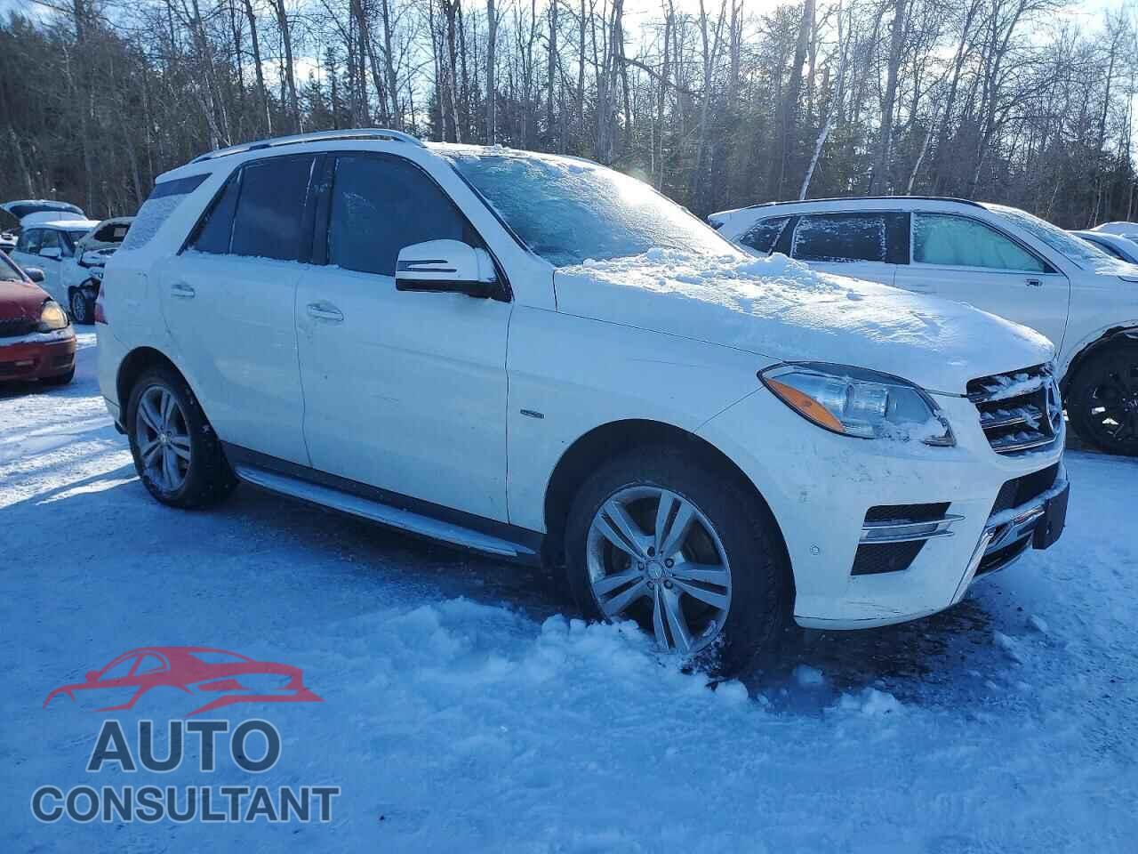 MERCEDES-BENZ M-CLASS 2012 - 4JGDA2EB5CA017164