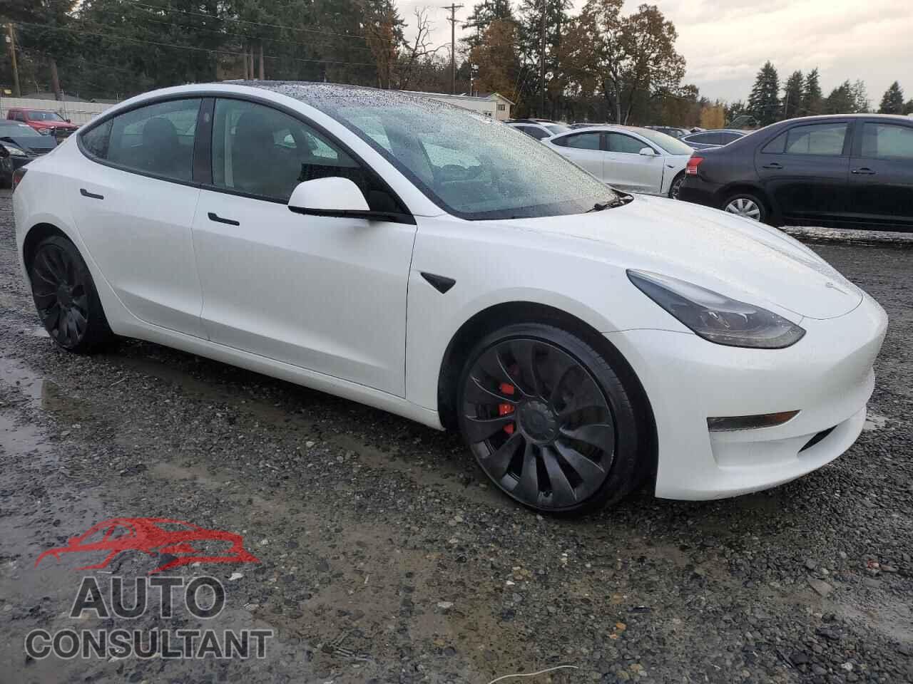 TESLA MODEL 3 2023 - 5YJ3E1EC1PF426461
