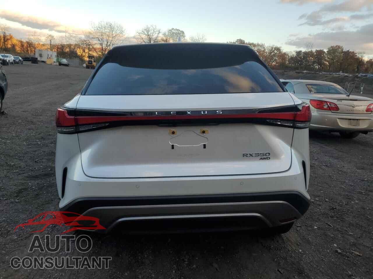 LEXUS RX350 2024 - 2T2BAMCA4RC086770