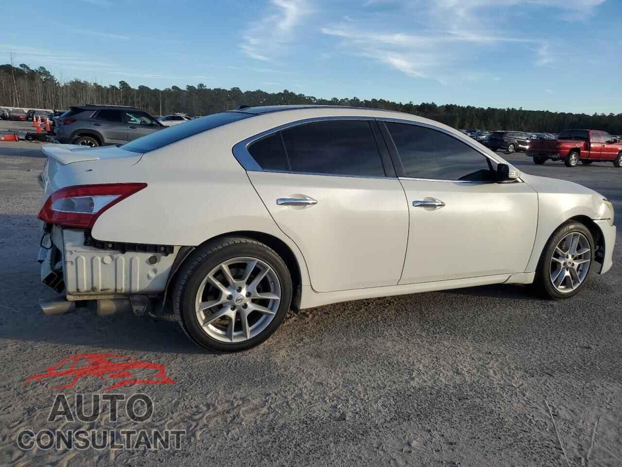 NISSAN MAXIMA 2011 - 1N4AA5AP1BC804129