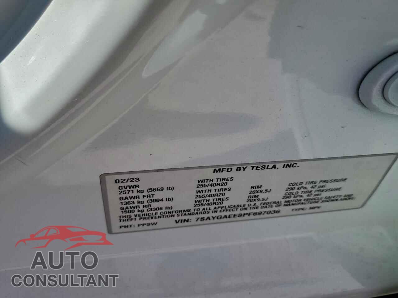 TESLA MODEL Y 2023 - 7SAYGAEE8PF697036