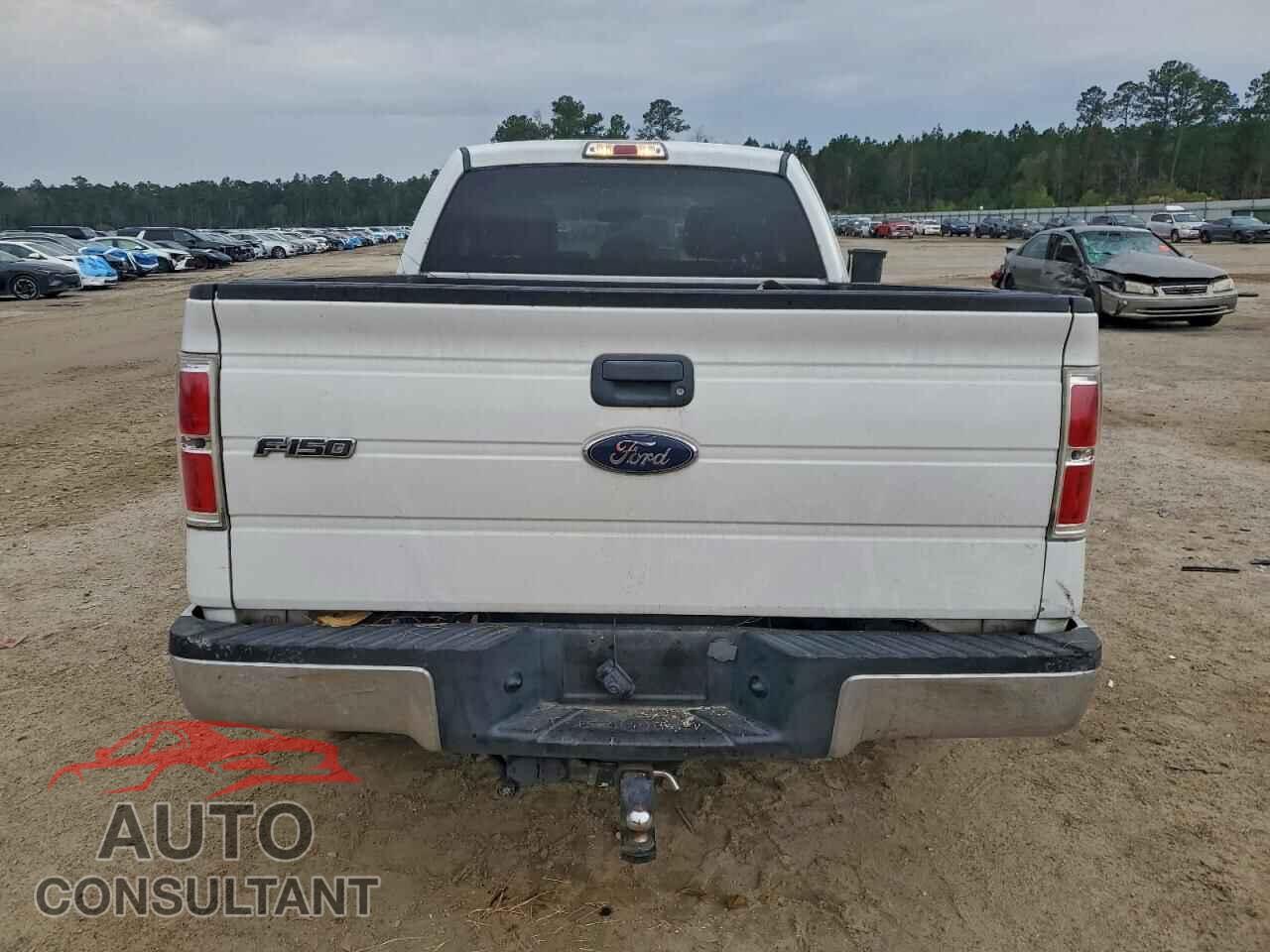 FORD F-150 2013 - 1FTFX1CT6DFD04549