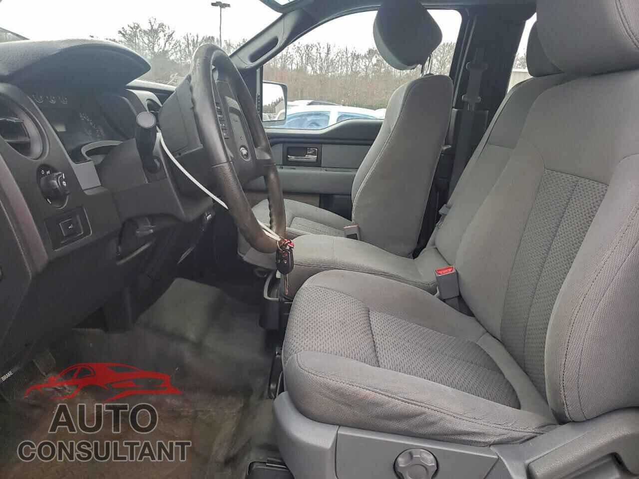 FORD F-150 2013 - 1FTFX1EF8DFD87294