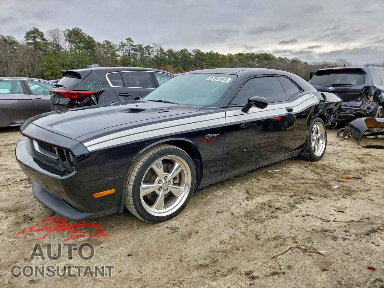 DODGE CHALLENGER 2012 - 2C3CDYBT3CH225881