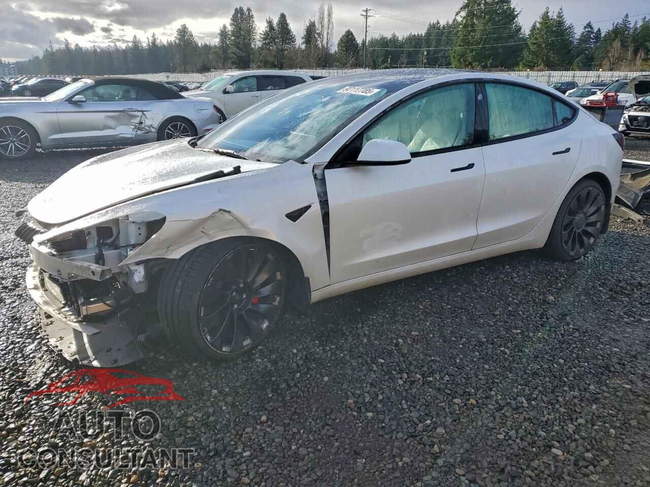 TESLA MODEL 3 2023 - 5YJ3E1EC4PF559893