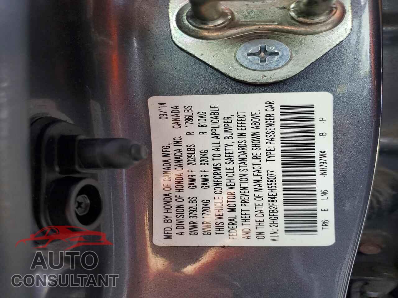 HONDA CIVIC 2014 - 2HGFB2F84EH558077