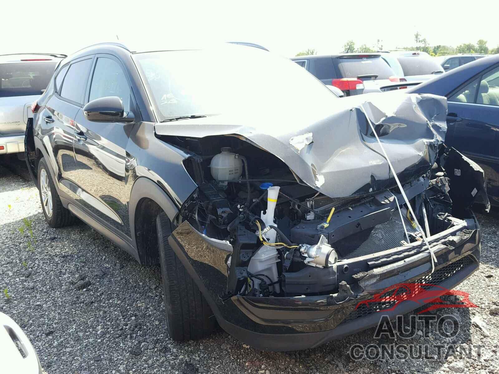 HYUNDAI TUCSON 2016 - KM8J33A41GU137932