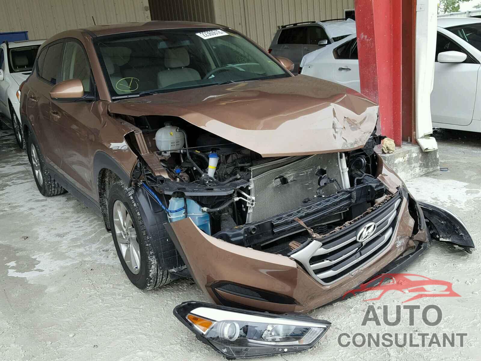 HYUNDAI TUCSON 2017 - KM8J23A43HU346173