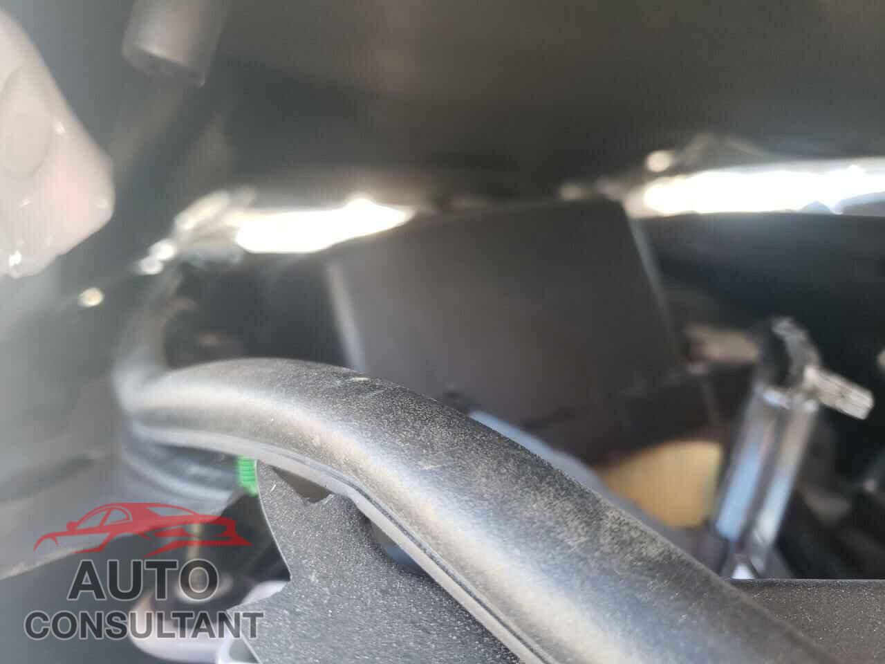 DODGE DURANGO 2021 - 1C4RDJDG8MC697141