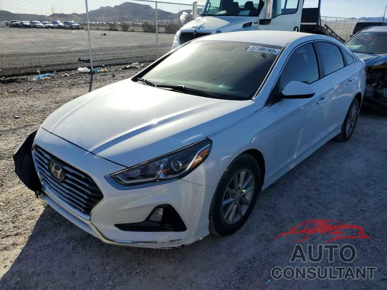 HYUNDAI SONATA 2018 - 5NPE24AF4JH607758