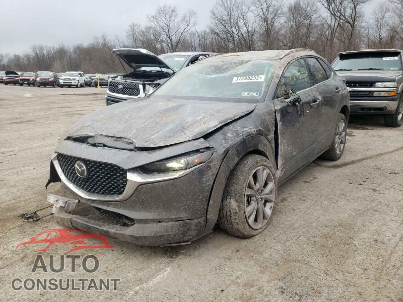 MAZDA CX30 2021 - 3MVDMBDM6MM219075