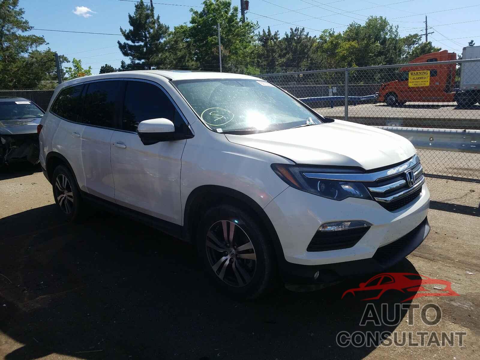 HONDA PILOT 2017 - 5FNYF5H51HB045377