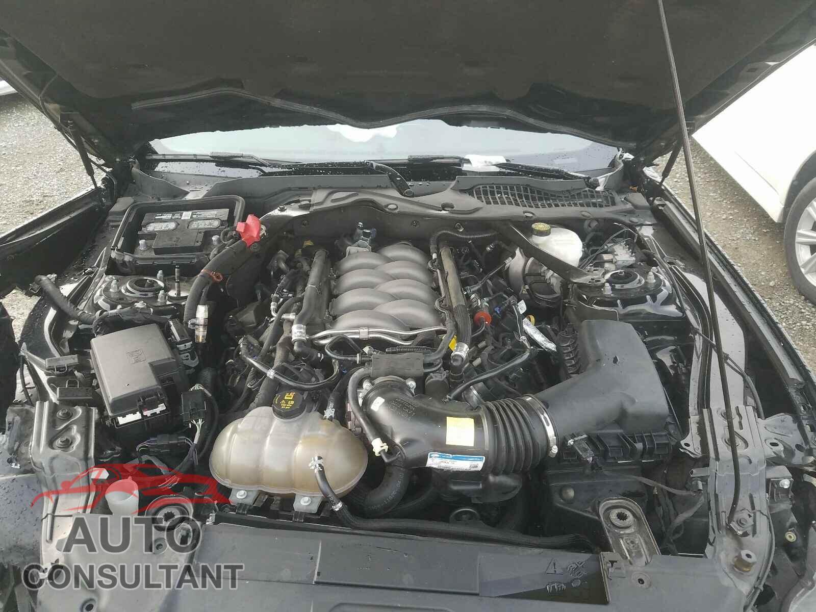 FORD MUSTANG 2019 - 1FA6P8CF8K5147621