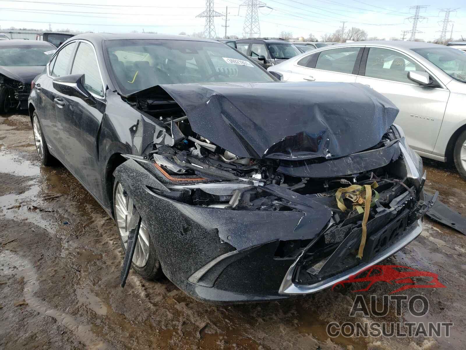 LEXUS ES300 2019 - JTHB21B15K2031586