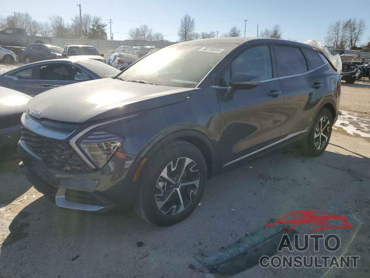 KIA SPORTAGE 2024 - 5XYK33DF1RG169127
