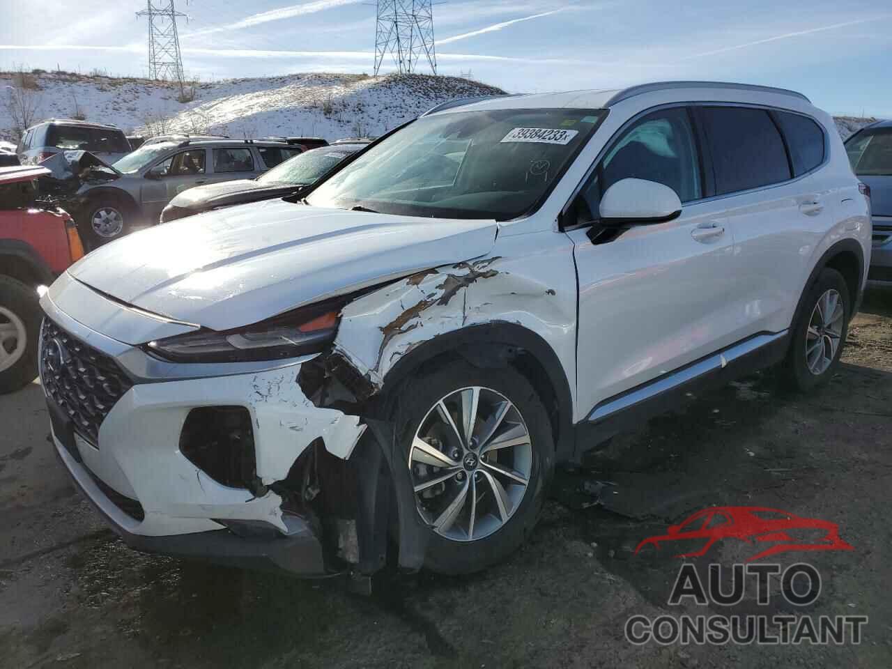 HYUNDAI SANTA FE 2019 - 5NMS3CAD8KH057052