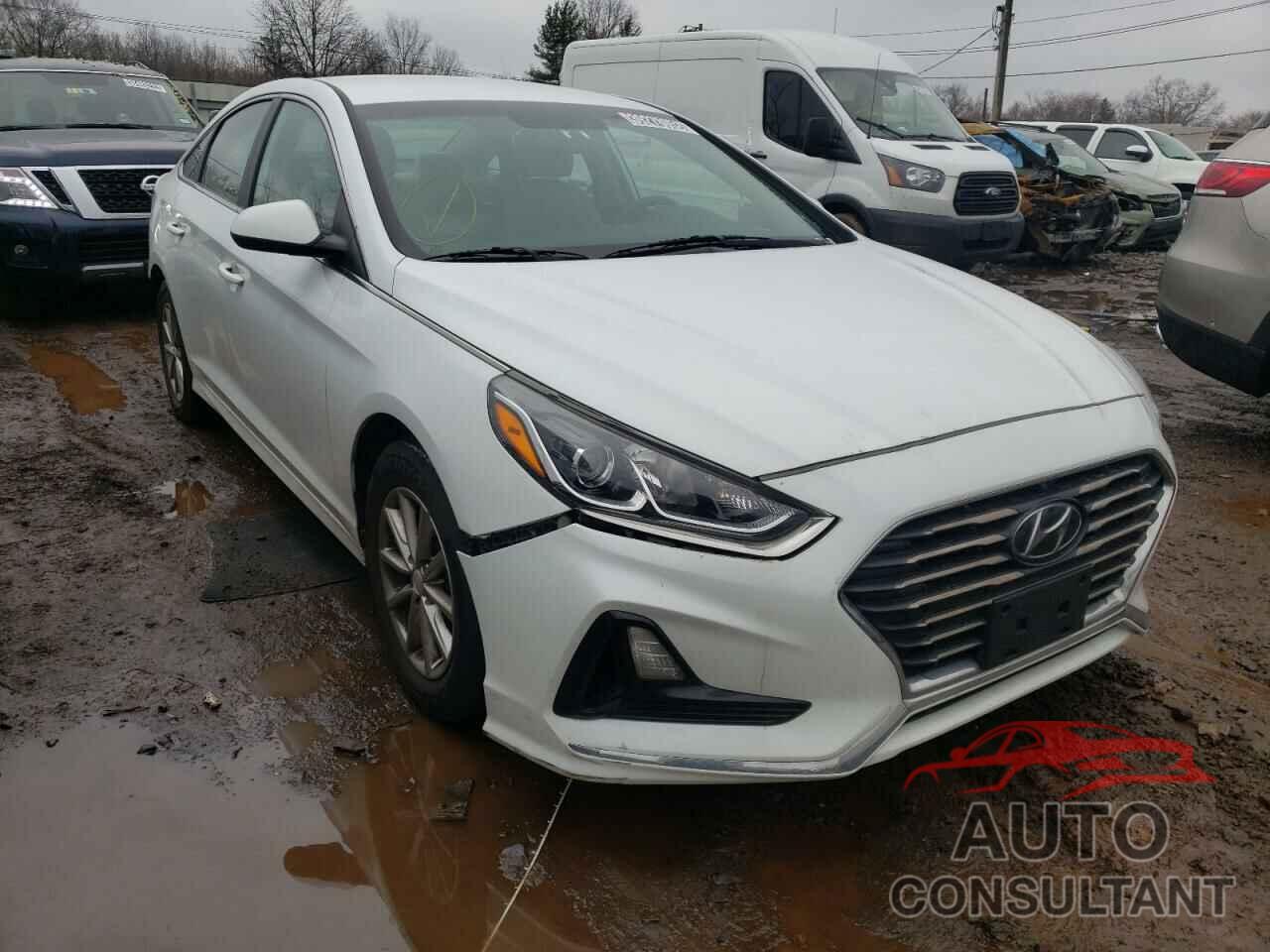HYUNDAI SONATA 2019 - 5NPE24AF9KH743756