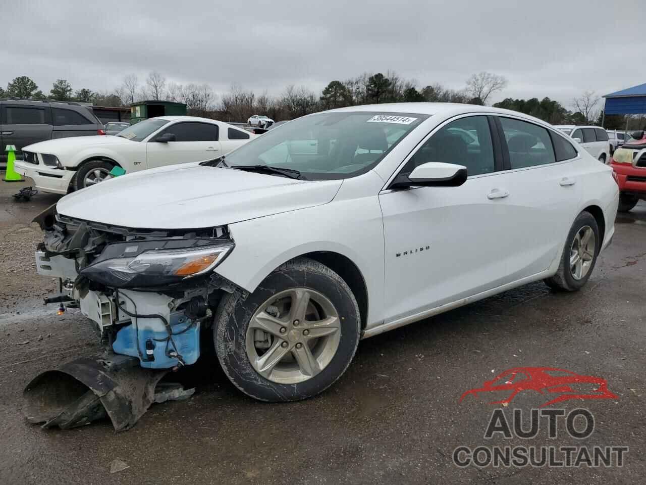 CHEVROLET MALIBU 2021 - 1G1ZC5ST2MF086295