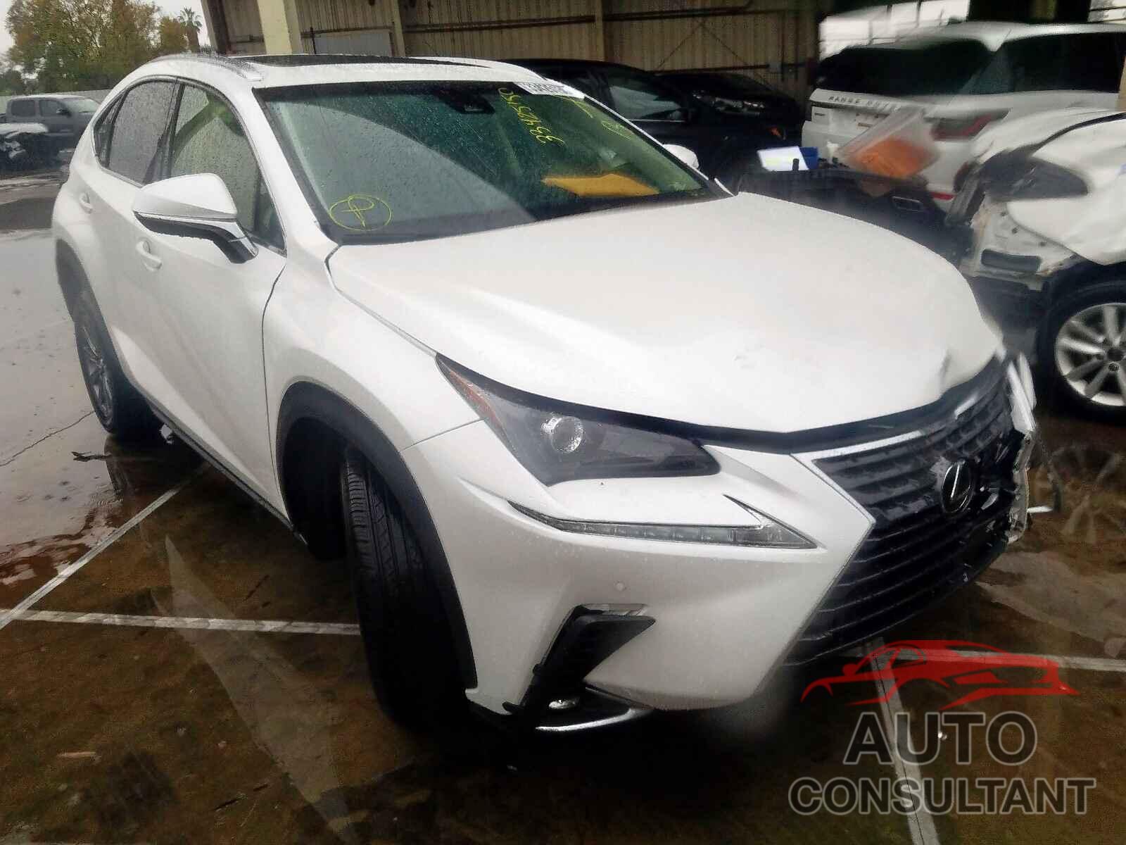 LEXUS NX 300 BAS 2019 - 3VV3B7AX0LM105829