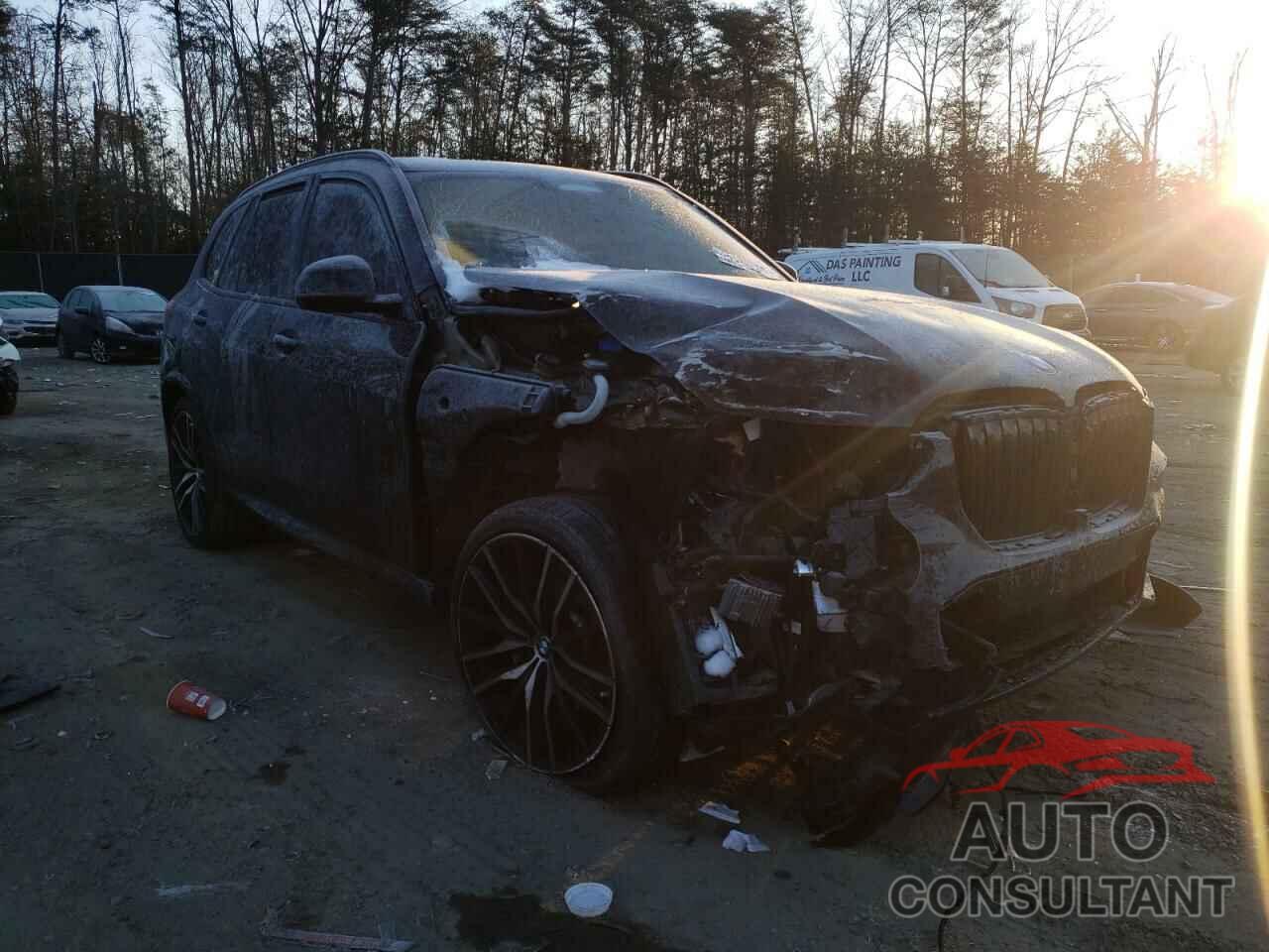 BMW X5 2019 - 1N4AA6AP6HC407644