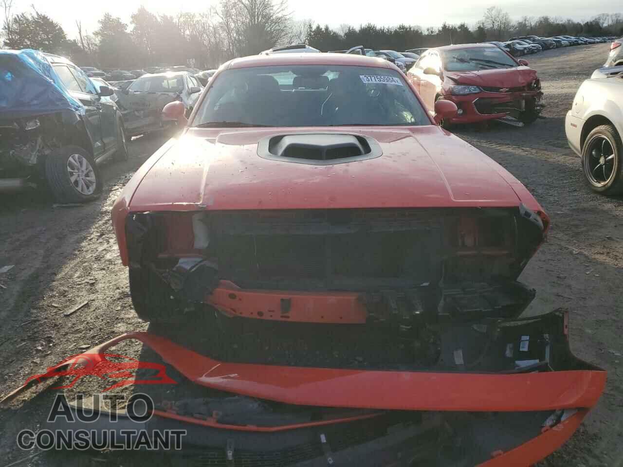 DODGE CHALLENGER 2019 - 2C3CDZBTXKH662412