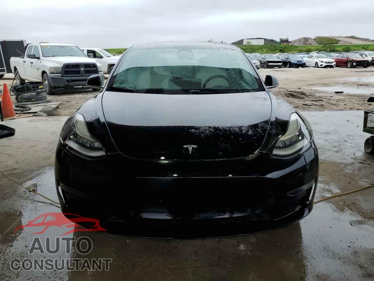 TESLA MODEL 3 2019 - 5YJ3E1EA5KF431475