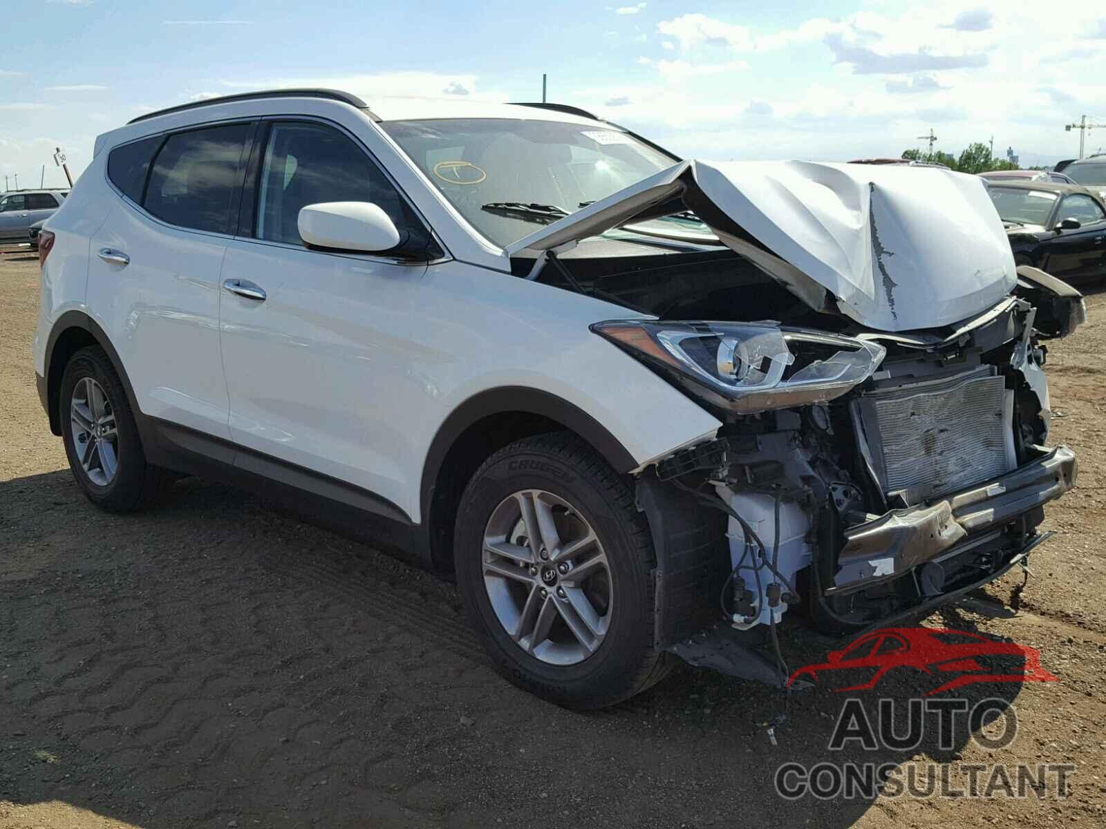 HYUNDAI SANTA FE 2017 - 5NMZUDLB9HH009470