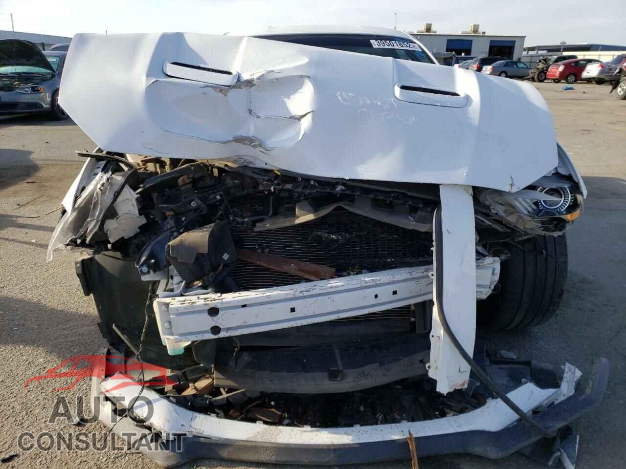 FORD MUSTANG 2019 - 1FA6P8CF7K5112245