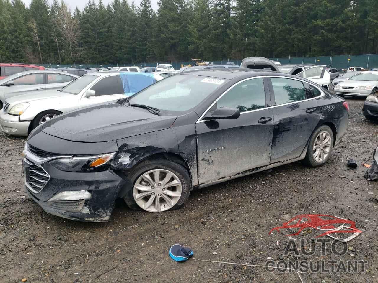 CHEVROLET MALIBU 2020 - 1G1ZD5ST7LF041719