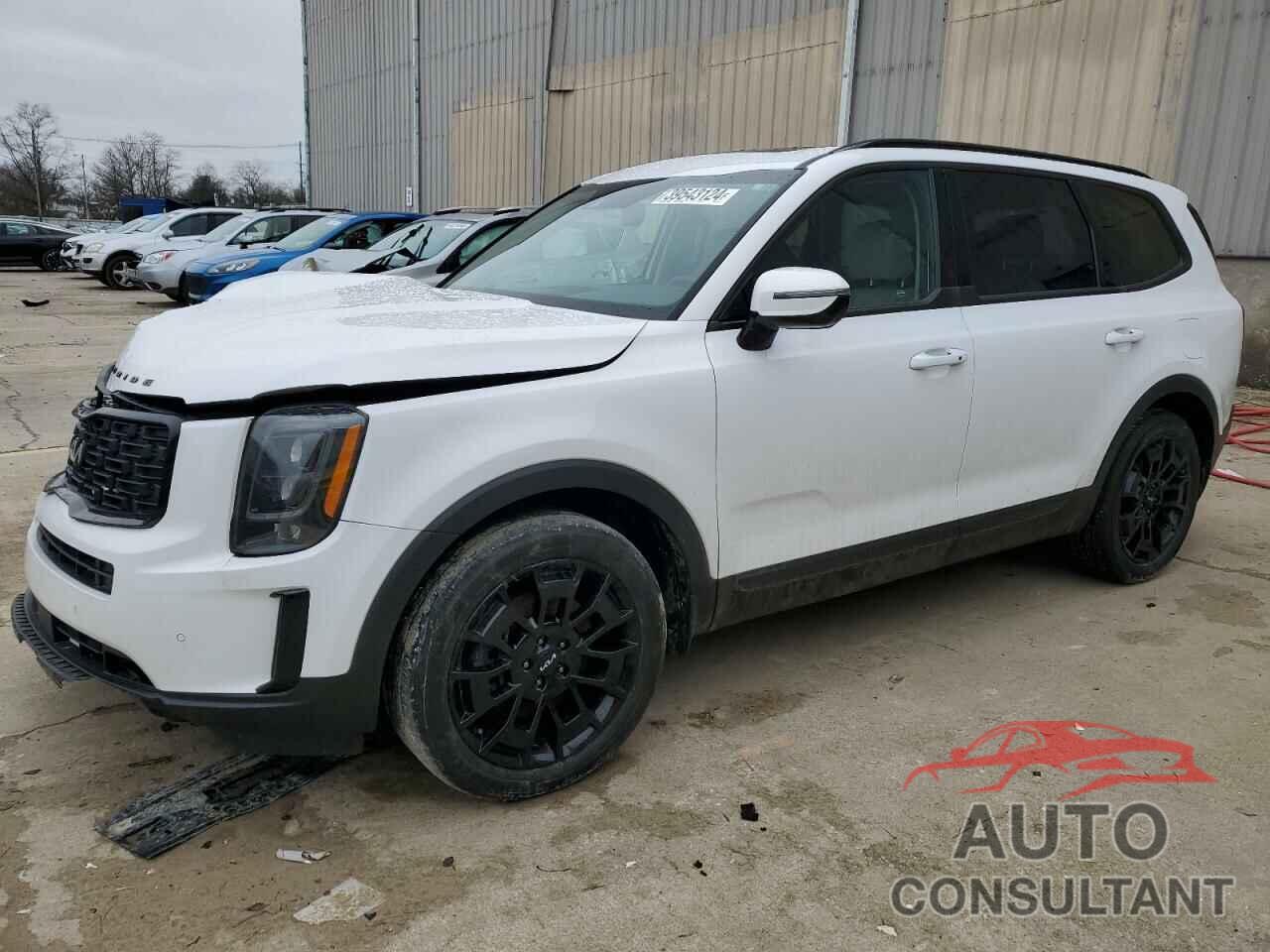 KIA TELLURIDE 2022 - 5XYP5DHCXNG221693