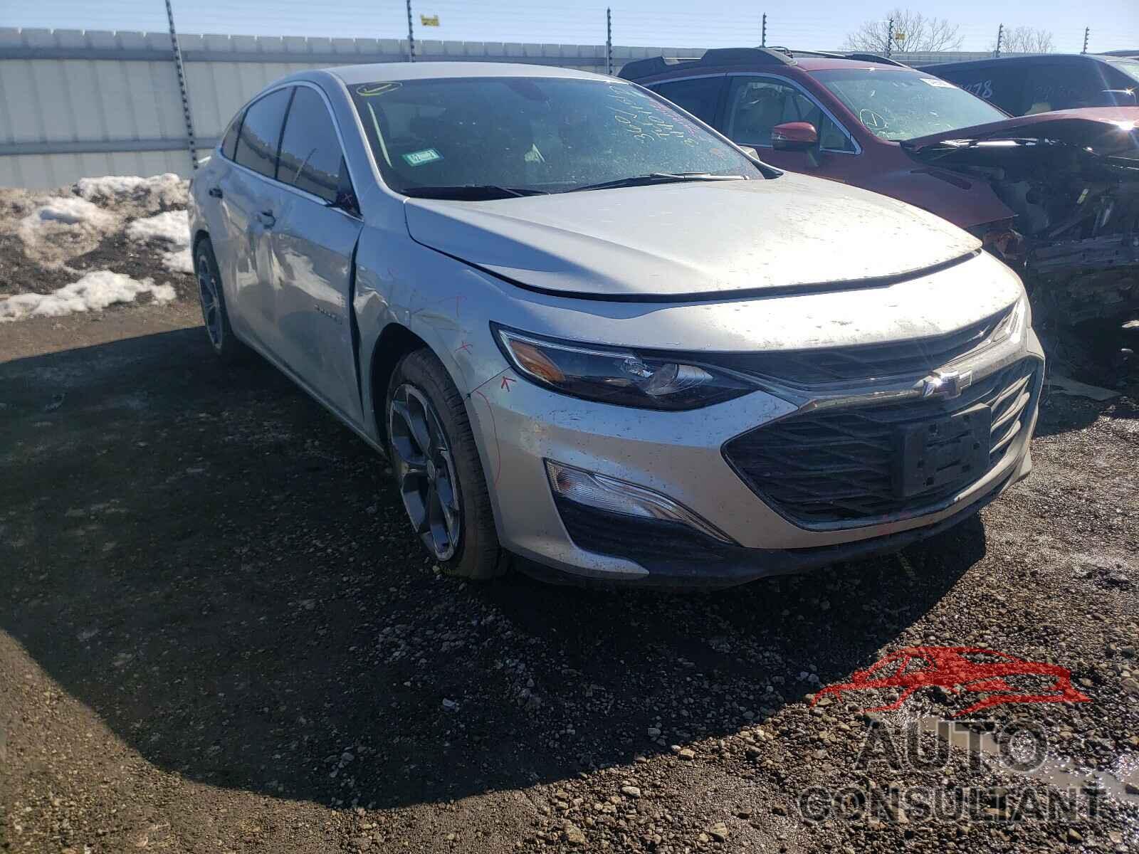 2019 MALIBU CHEVROLET