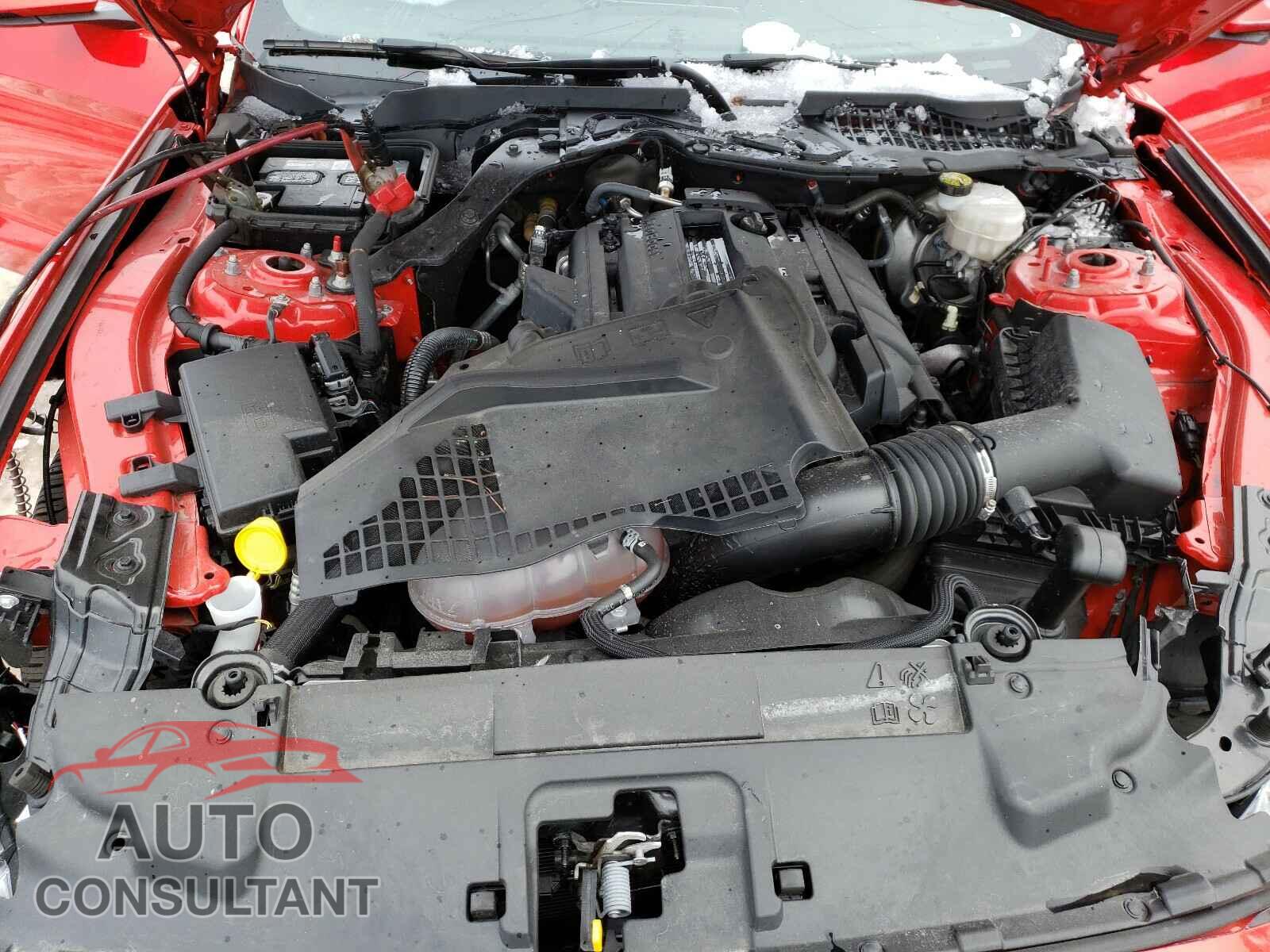 FORD MUSTANG 2019 - 1FA6P8TH2K5172497