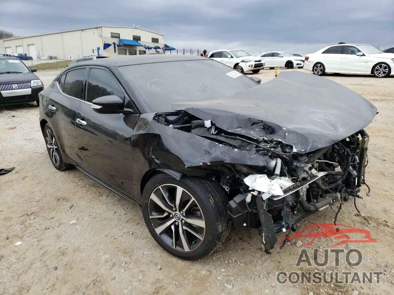 NISSAN MAXIMA 2019 - 1N4AA6AV6KC365434